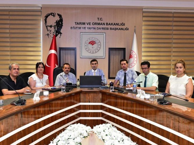 yayim-yeni1-3h9J3BqsMw