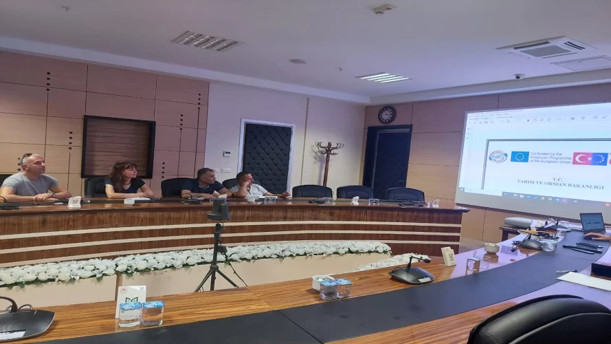 Eğitim Programı Toplantısı